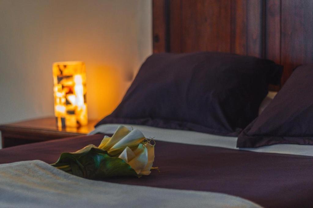 Cortijo La Casona & Bungalow Al Pie De La Montana San Cristóbal de Las Casas エクステリア 写真