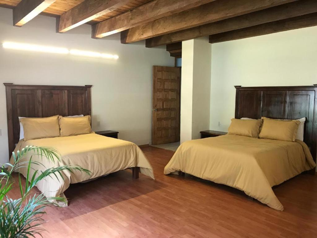 Cortijo La Casona & Bungalow Al Pie De La Montana San Cristóbal de Las Casas エクステリア 写真